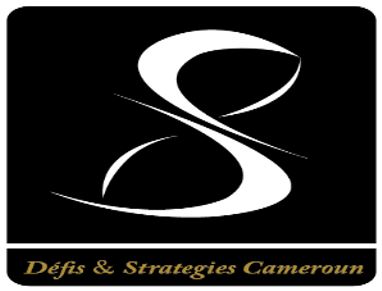 DEFIS STRATEGIES CAMEROUN