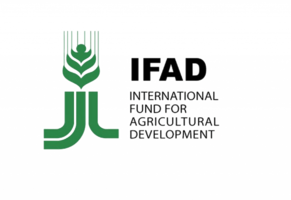 logo partner (3)